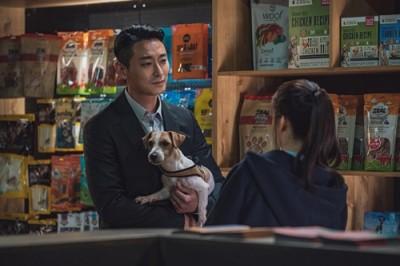 세상 모든 귀염뽀짝의 총합! 강아지 덕후에게 권하는 영화 속 파트너 '개+인간'