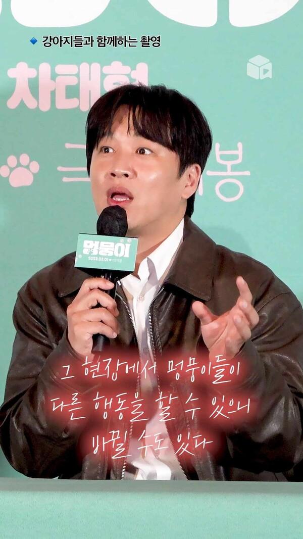 동물 영화에 다시 한번 출연할 결심 [멍뭉이]