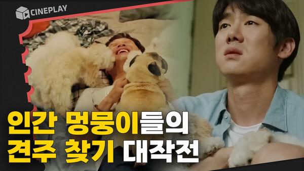 유연석X차태현 인간 멍뭉이들의 견주 찾기 대작전