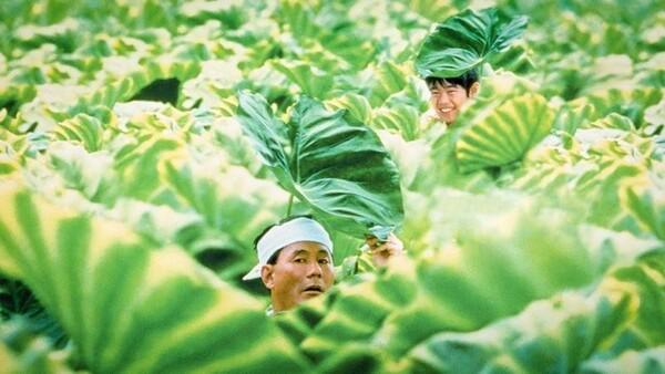 장마 끝나면 이 영화처럼 여행할래! 여름을 담은 로드무비 모음.zip