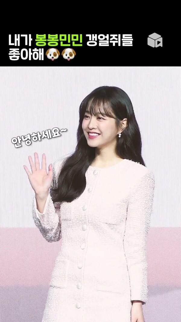 내가 봉봉민민 갱얼쥐들 좋아해 [정신병동에도 아침이 와요]