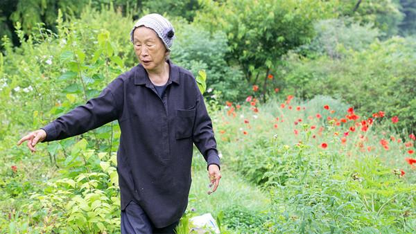 한국인 최초 ‘제프리 젤리코상’ 정영선의 다큐멘터리 〈땅에 쓰는 시〉 4월 개봉