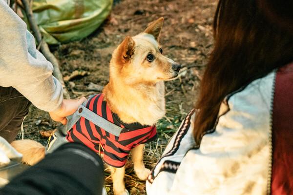 〈핸섬가이즈〉 봉구(복순)