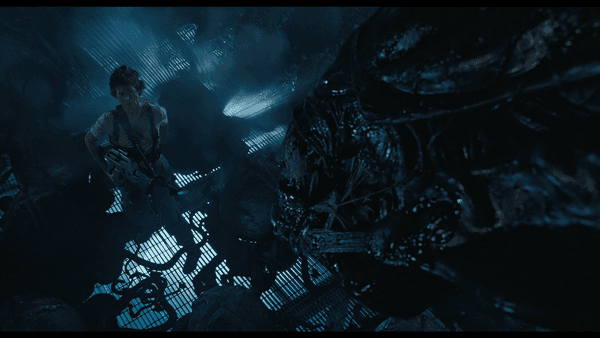 〈에이리언 2〉 4K UHD 블루레이 신판